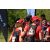 Team 36 / Raid Amazones Sri Lanka 2019 - J1 Trail