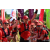 Team 19 / Raid Amazones Sri Lanka 2019 - J1 Trail