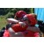Team 19 / Raid Amazones Sri Lanka 2019 - J1 Trail