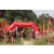 Raid Amazones Sri Lanka 2019 - J1 Trail