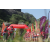 Raid Amazones Sri Lanka 2019 - J1 Trail