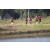 Raid Amazones Sri Lanka 2019 - J1 Trail