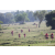 Raid Amazones Sri Lanka 2019 - J1 Trail