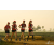 Team 25 / Raid Amazones Sri Lanka 2019 - J1 Trail