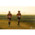Team 28 / Raid Amazones Sri Lanka 2019 - J1 Trail