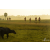 Team 38 / Raid Amazones Sri Lanka 2019 - J1 Trail