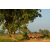 Team 107 / Raid Amazones Sri Lanka 2019 - J1 Trail