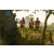 Team 107 / Raid Amazones Sri Lanka 2019 - J1 Trail