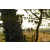 Team 03 / Raid Amazones Sri Lanka 2019 - J1 Trail