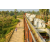 Raid Amazones Sri Lanka 2019 - J1 Trail