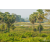 Raid Amazones Sri Lanka 2019 - J1 Trail