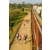 Raid Amazones Sri Lanka 2019 - J1 Trail