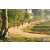 Team 09 / Raid Amazones Sri Lanka 2019 - J1 Trail