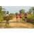 Team 111 / Raid Amazones Sri Lanka 2019 - J1 Trail