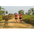Team 26 / Raid Amazones Sri Lanka 2019 - J1 Trail