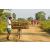 Raid Amazones Sri Lanka 2019 - J1 Trail