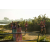 Team 105 / Raid Amazones Sri Lanka 2019 - J1 Trail