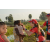 Team 12 / Raid Amazones Sri Lanka 2019 - J1 Trail