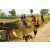 Team 28 / Raid Amazones Sri Lanka 2019 - J1 Trail