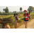 Team 123 / Raid Amazones Sri Lanka 2019 - J1 Trail