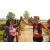 Team 143 / Raid Amazones Sri Lanka 2019 - J1 Trail