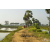 Raid Amazones Sri Lanka 2019 - J1 Trail