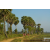 Team 120 / Raid Amazones Sri Lanka 2019 - J1 Trail