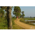 Team 33 / Raid Amazones Sri Lanka 2019 - J1 Trail