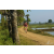 Team 33 / Raid Amazones Sri Lanka 2019 - J1 Trail