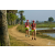Team 33 / Raid Amazones Sri Lanka 2019 - J1 Trail