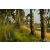Team 08 / Raid Amazones Sri Lanka 2019 - J1 Trail