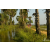 Team 08 / Raid Amazones Sri Lanka 2019 - J1 Trail