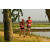 Team 18 / Raid Amazones Sri Lanka 2019 - J1 Trail