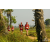 Team 34 / Raid Amazones Sri Lanka 2019 - J1 Trail