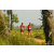 Team 103 / Raid Amazones Sri Lanka 2019 - J1 Trail