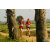 Team 103 / Raid Amazones Sri Lanka 2019 - J1 Trail
