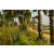 Team 14 / Raid Amazones Sri Lanka 2019 - J1 Trail