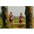 Team 14 / Raid Amazones Sri Lanka 2019 - J1 Trail