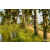 Team 04 / Raid Amazones Sri Lanka 2019 - J1 Trail