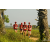 Team 04 / Raid Amazones Sri Lanka 2019 - J1 Trail