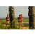 Team 04 / Raid Amazones Sri Lanka 2019 - J1 Trail