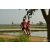 Team 01 / Raid Amazones Sri Lanka 2019 - J1 Trail