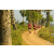 Team 26 / Raid Amazones Sri Lanka 2019 - J1 Trail