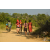 Team 105 / Raid Amazones Sri Lanka 2019 - J1 Trail