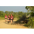 Team 105 / Raid Amazones Sri Lanka 2019 - J1 Trail