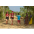 Team 05 / Raid Amazones Sri Lanka 2019 - J1 Trail