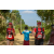 Team 36 / Raid Amazones Sri Lanka 2019 - J1 Trail