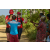 Team 44 / Raid Amazones Sri Lanka 2019 - J1 Trail