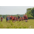 Team 29 / Raid Amazones Sri Lanka 2019 - J1 Trail