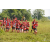 Team 29 / Raid Amazones Sri Lanka 2019 - J1 Trail